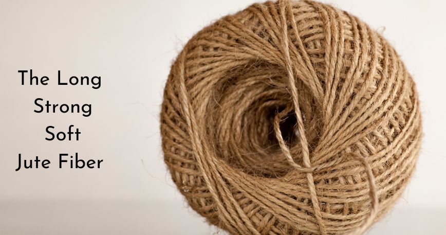 Jute – Global sustainable fiber