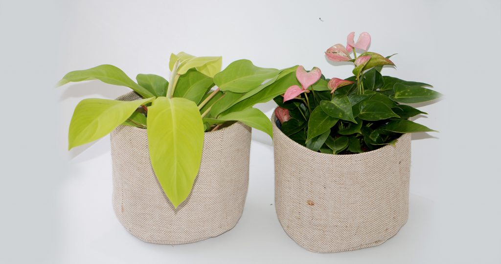Round jute baskets Jute round basket