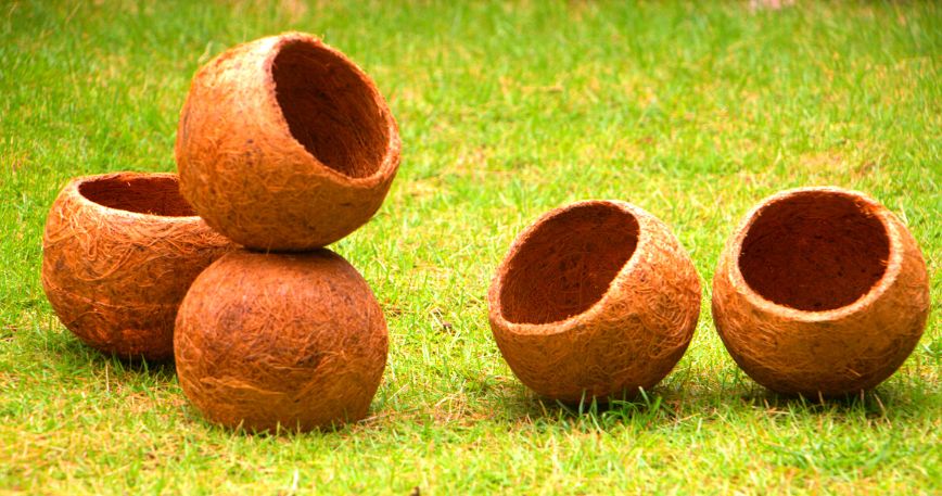 Coir Kokedama Pots