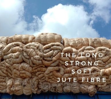 Jute - Global sustainable fiber 